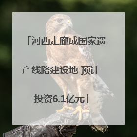 河西走廊成国家遗产线路建设地 预计投资6.1亿元